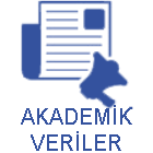 Akademik Veriler